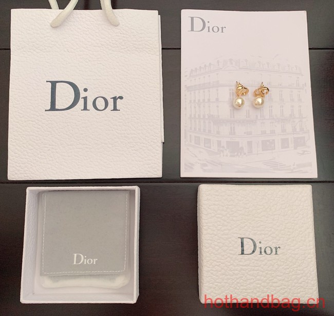 Dior Earrings CE12487