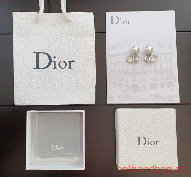 Dior Earrings CE12490