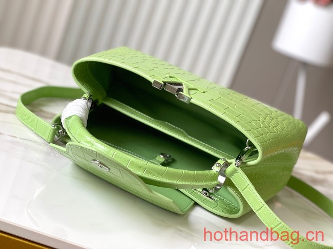 Louis Vuitton Capucines MM N93419 light green