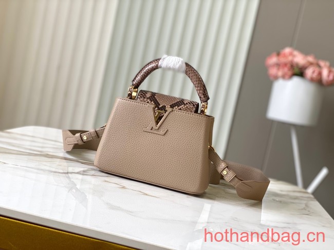 Louis Vuitton Capucines Mini N81209 gray