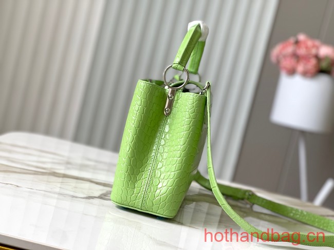 Louis Vuitton Crocodile Capucines BB N48865 light green