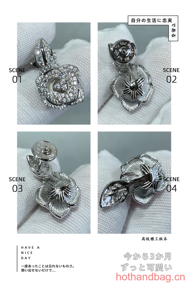 Dior Earrings CE12547
