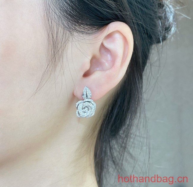 Dior Earrings CE12547