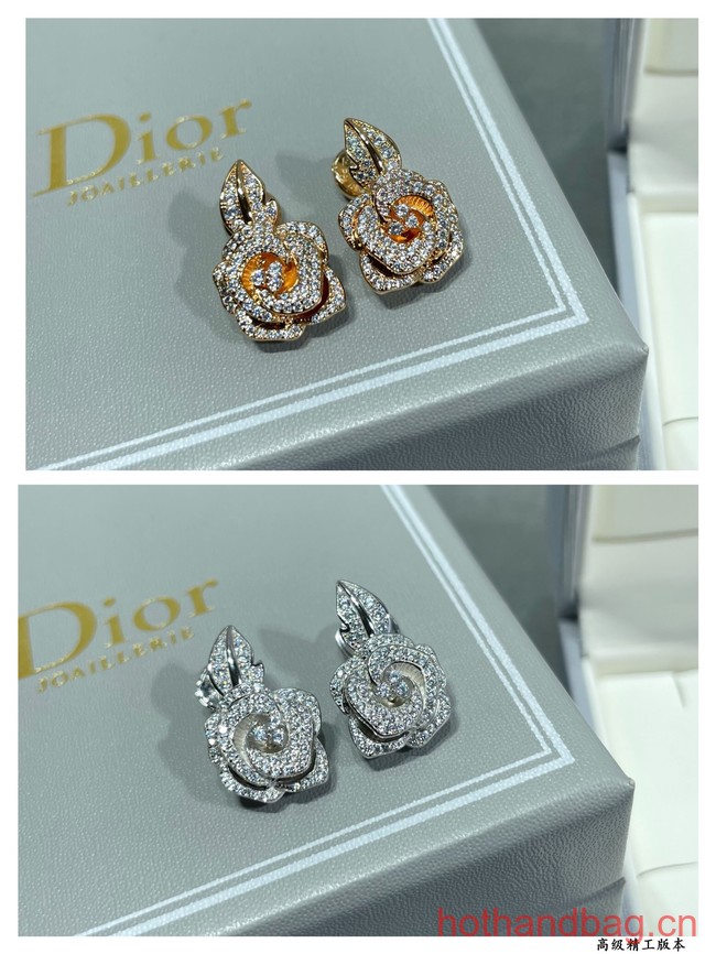 Dior Earrings CE12547