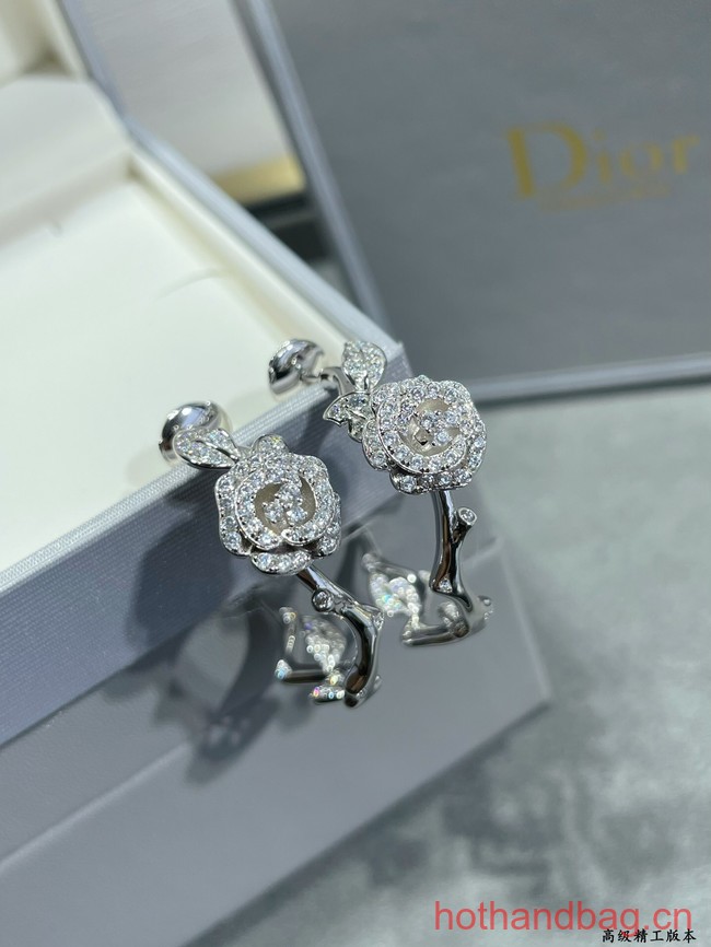 Dior Earrings CE12548