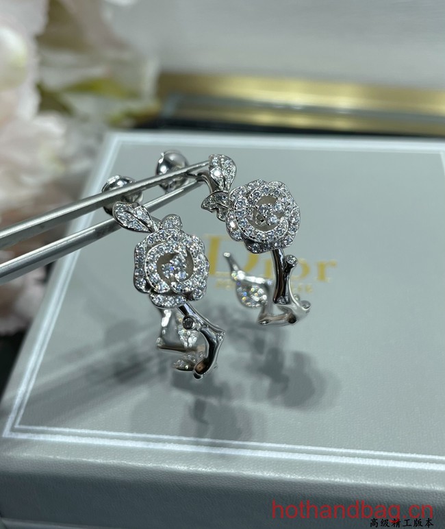 Dior Earrings CE12548