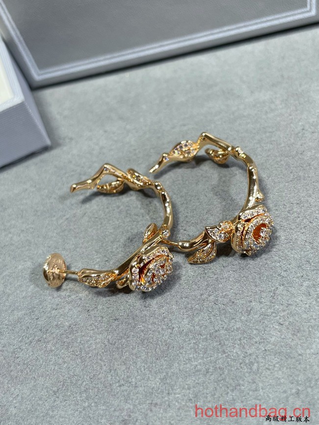 Dior Earrings CE12548