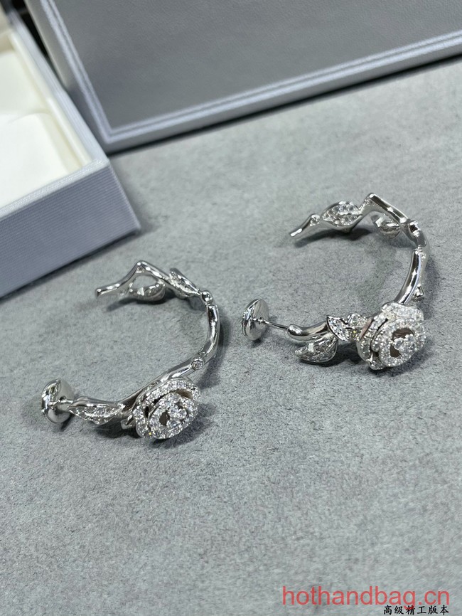 Dior Earrings CE12548