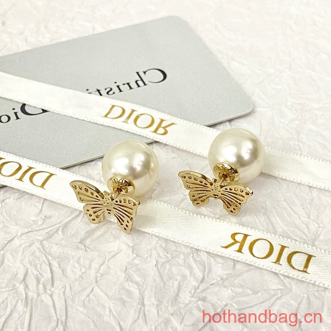 Dior Earrings CE12695