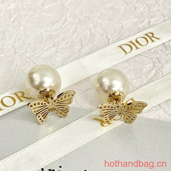 Dior Earrings CE12695