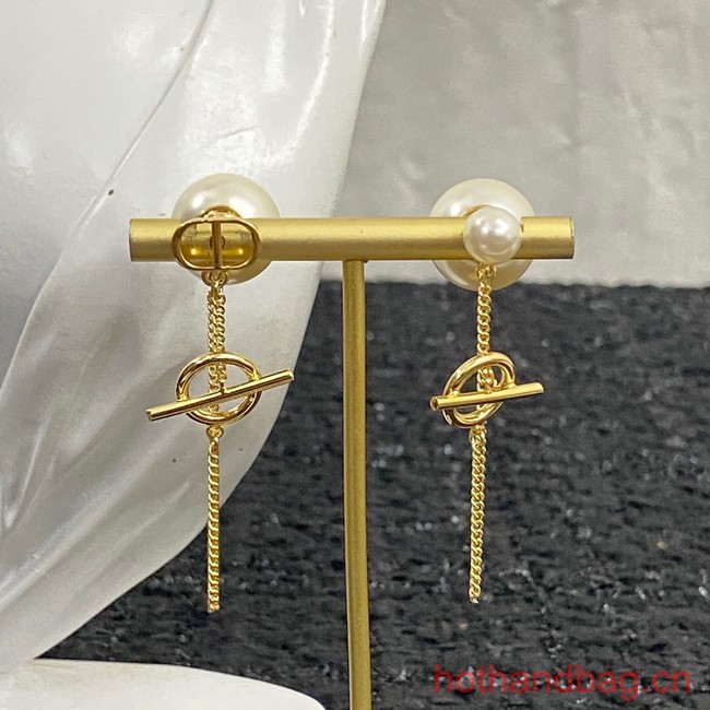 Dior Earrings CE12696