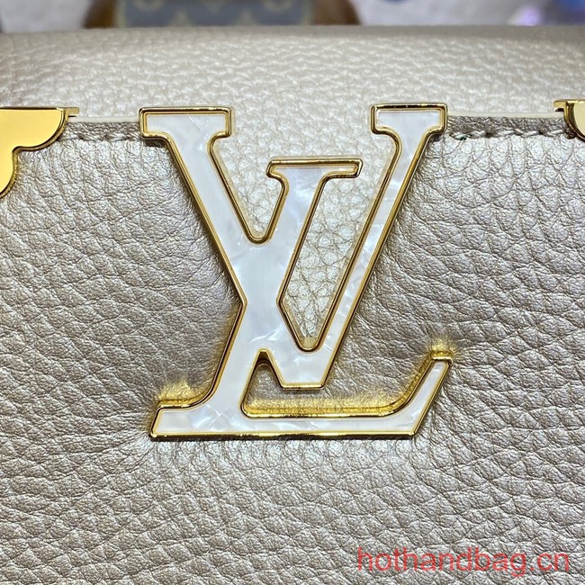 Louis Vuitton CAPUCINES BB N93164 gray