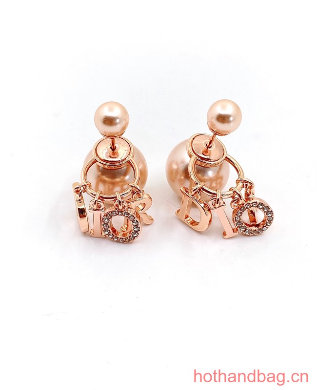 Dior Earrings CE12834