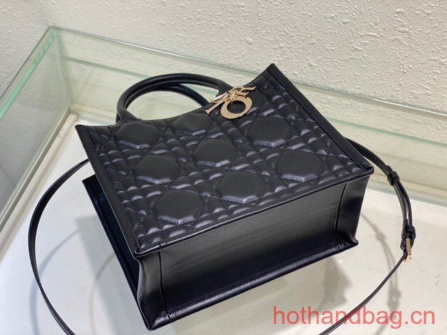 SMALL DIOR BOOK TOTE Black Calfskin M1295ZG