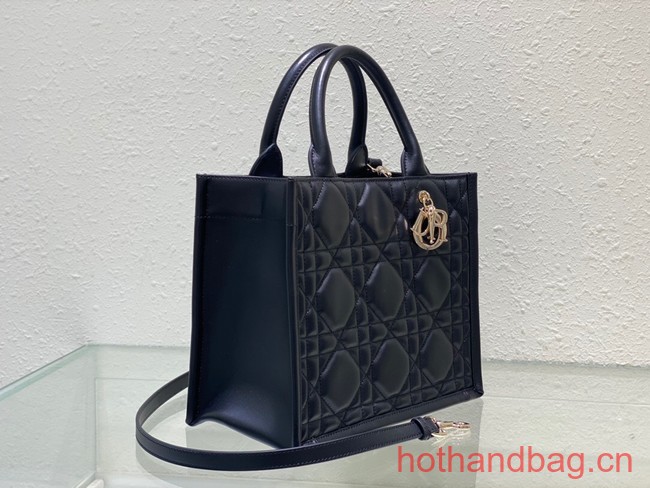 SMALL DIOR BOOK TOTE Black Calfskin M1295ZG