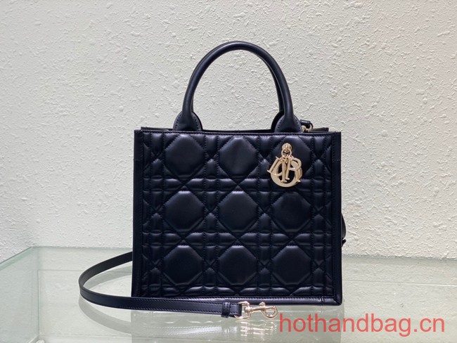 SMALL DIOR BOOK TOTE Black Calfskin M1295ZG