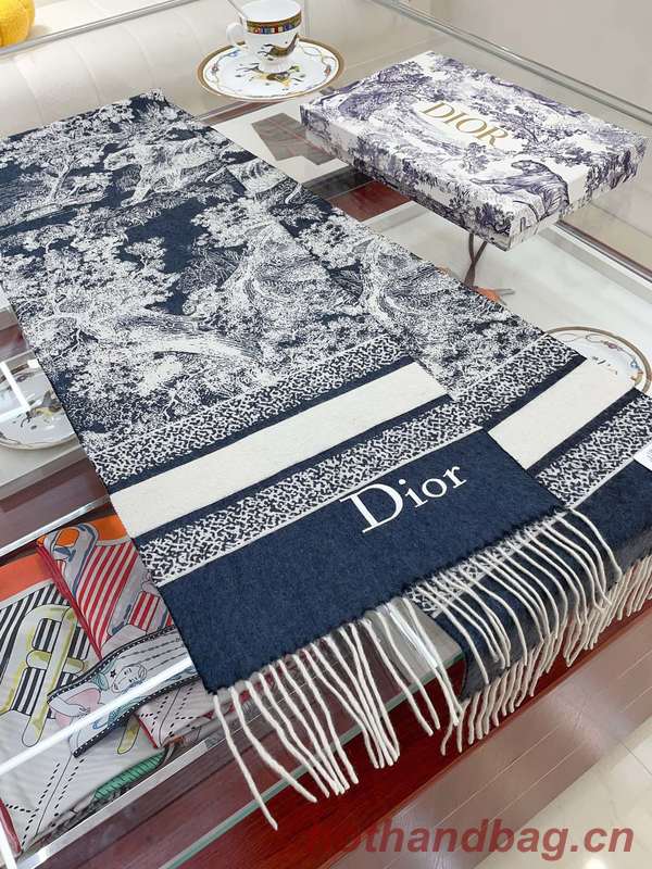 Dior Scarf DIC00216