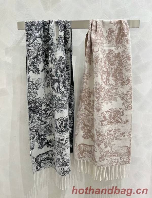 Dior Scarf DIC00223