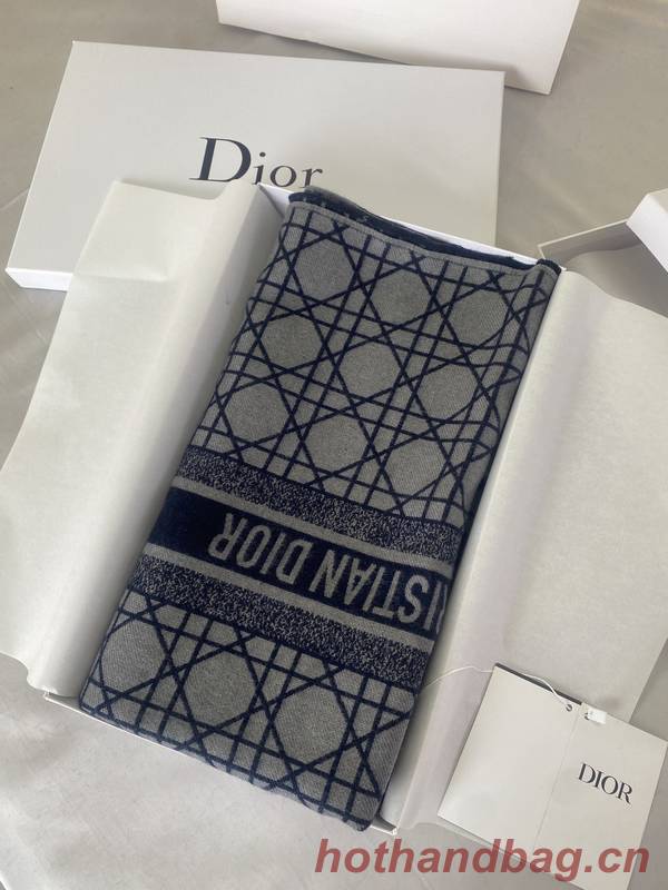 Dior Scarf DIC00224