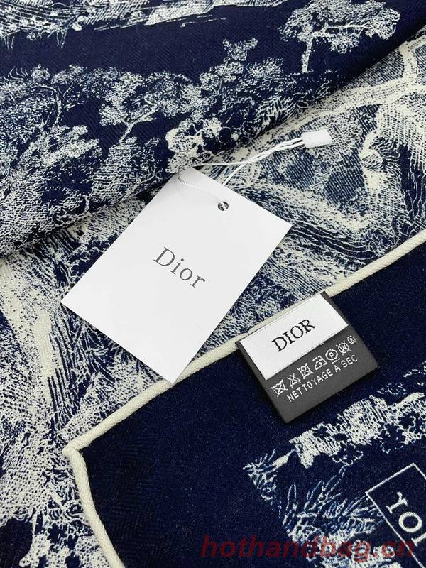 Dior Scarf DIC00226