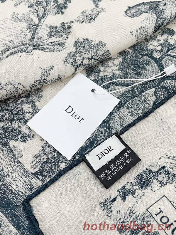 Dior Scarf DIC00227