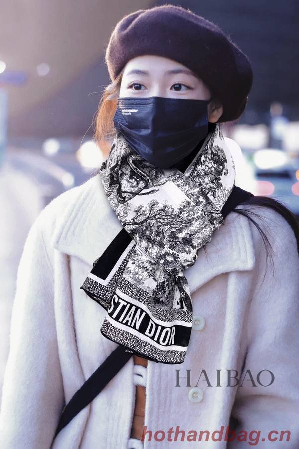 Dior Scarf DIC00246