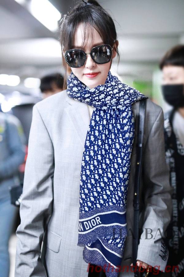 Dior Scarf DIC00251