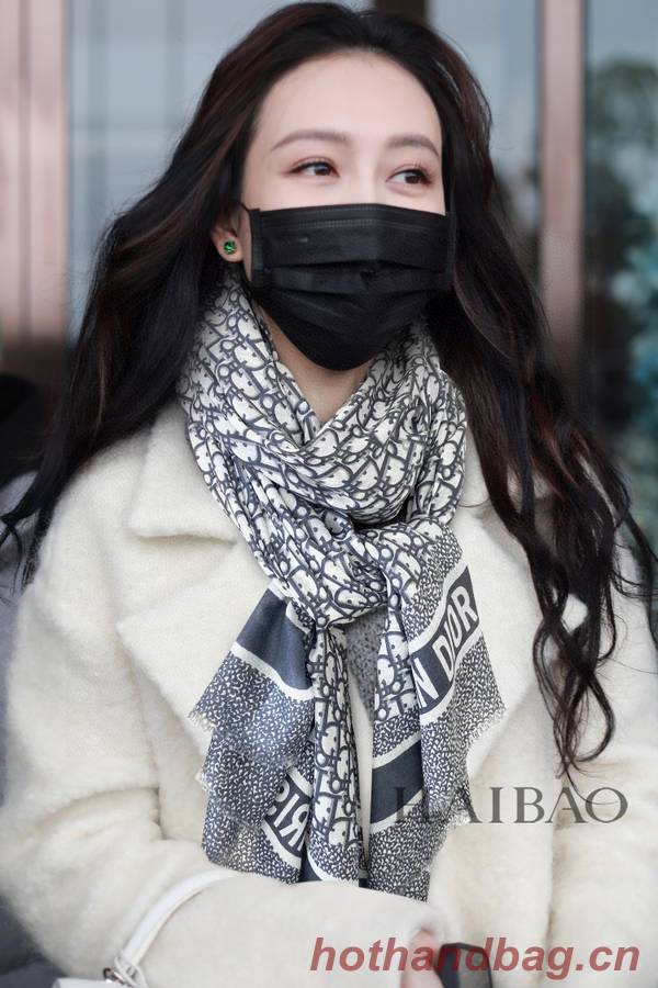 Dior Scarf DIC00253