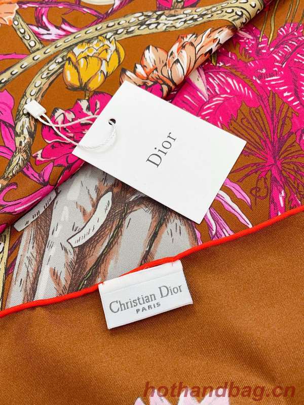 Dior Scarf DIC00254