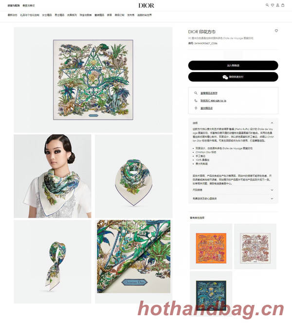 Dior Scarf DIC00256