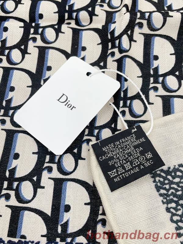 Dior Scarf DIC00282