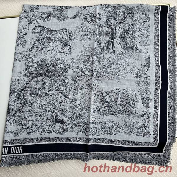 Dior Scarf DIC00310