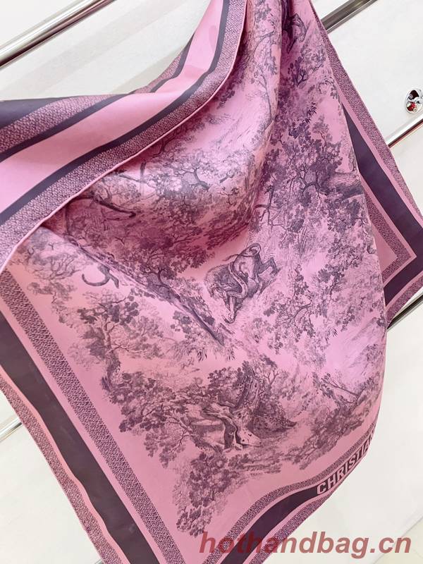 Dior Scarf DIC00334