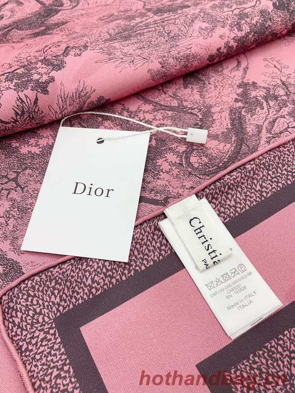 Dior Scarf DIC00334