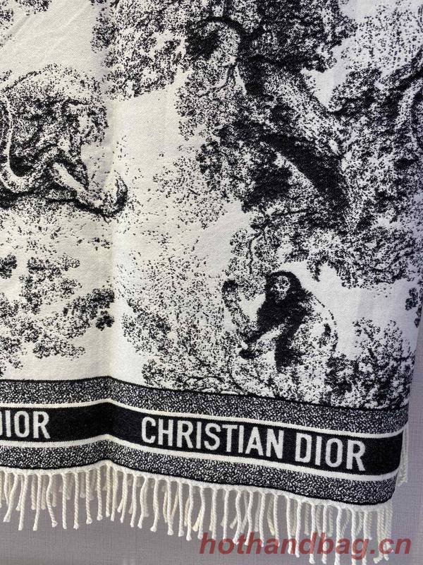 Dior Blanket DIC00337