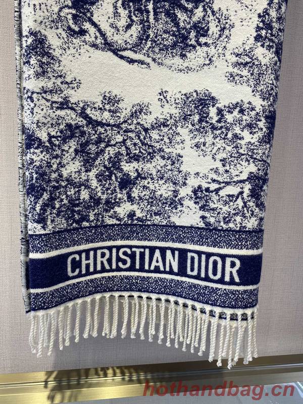 Dior Blanket DIC00338