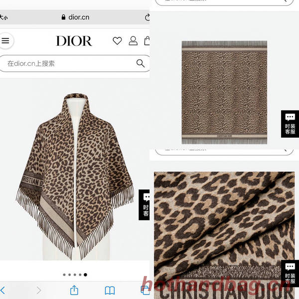 Dior Blanket DIC00340