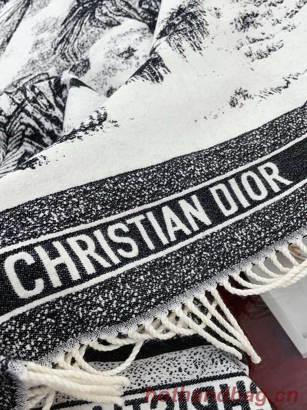 Dior Blanket DIC00341