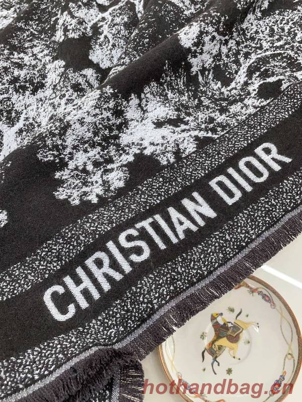 Dior Blanket DIC00342