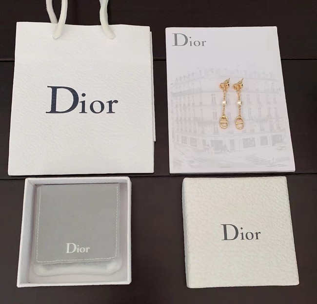 Dior Earrings CE12901