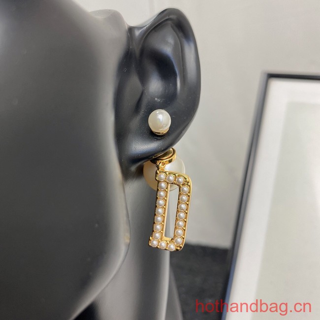 Dior Earrings CE12949