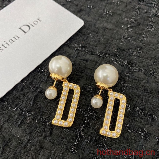 Dior Earrings CE12949