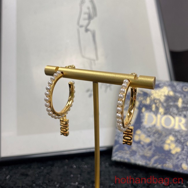 Dior Earrings CE12950