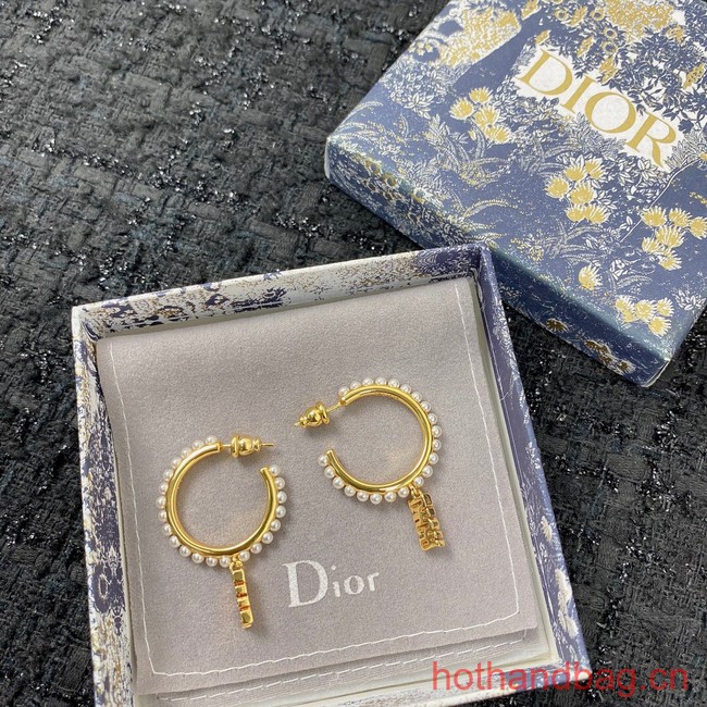 Dior Earrings CE12950