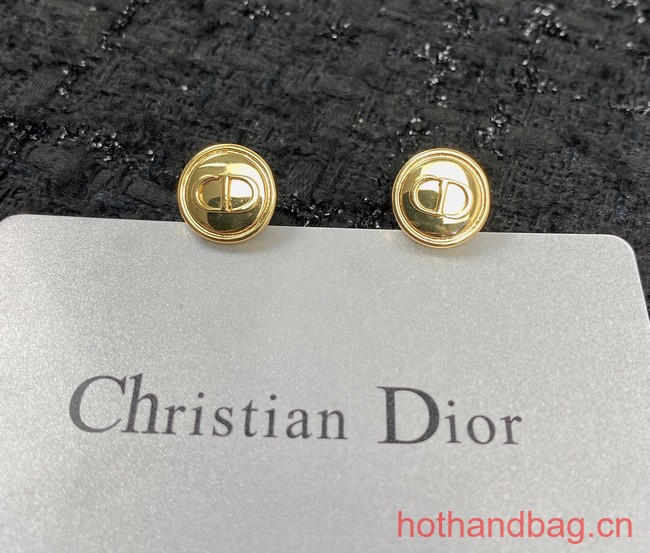 Dior Earrings CE12951