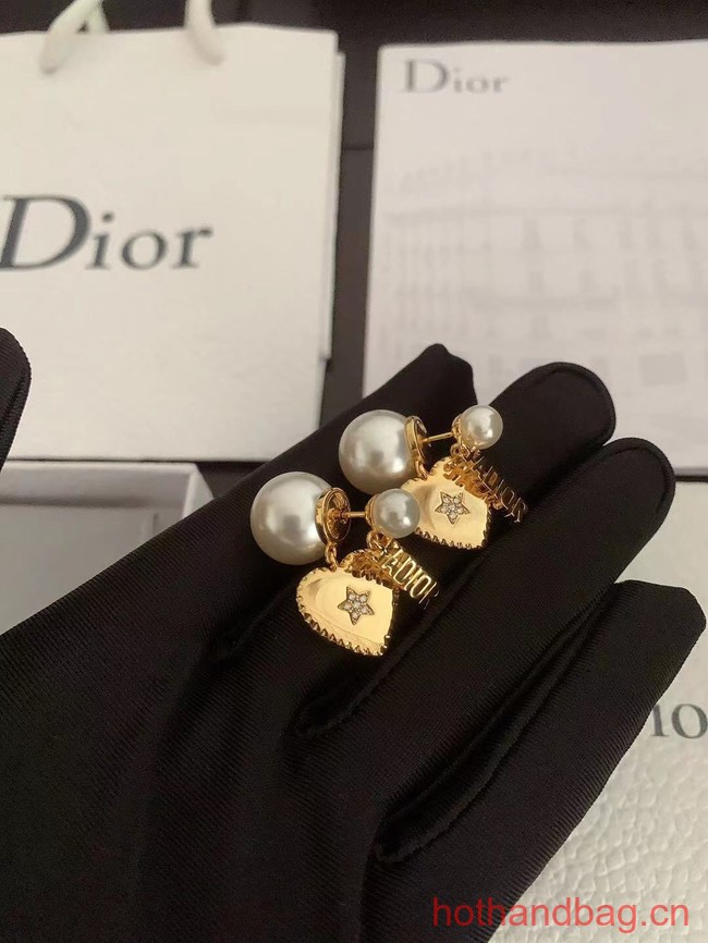 Dior Earrings CE12953