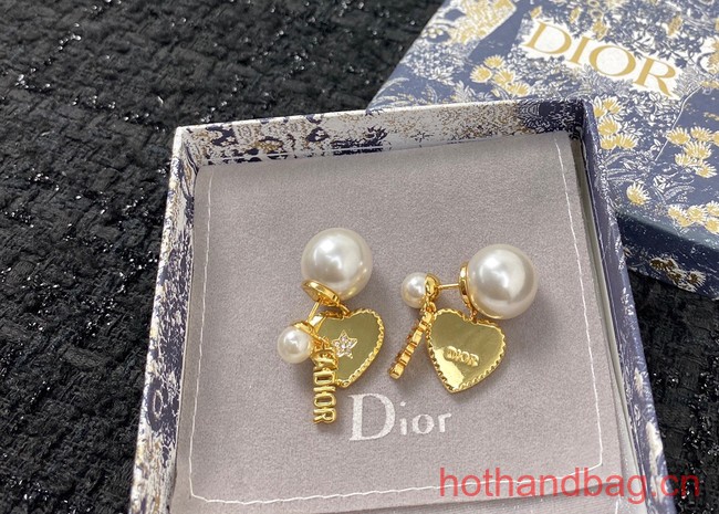 Dior Earrings CE12953