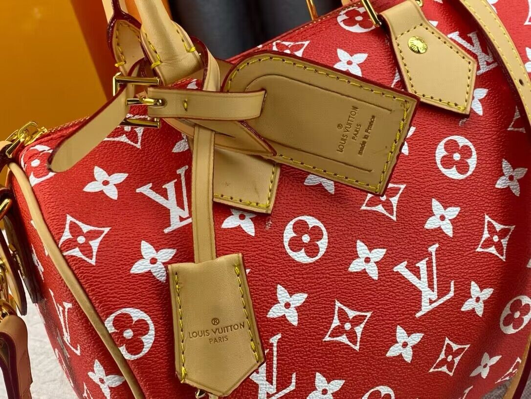 Louis Vuitton LV2024 Speedy 25 M24424 Red