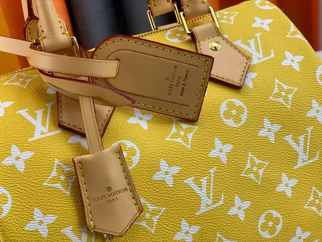 Louis Vuitton LV2024 Speedy 25 M24424 Yellow