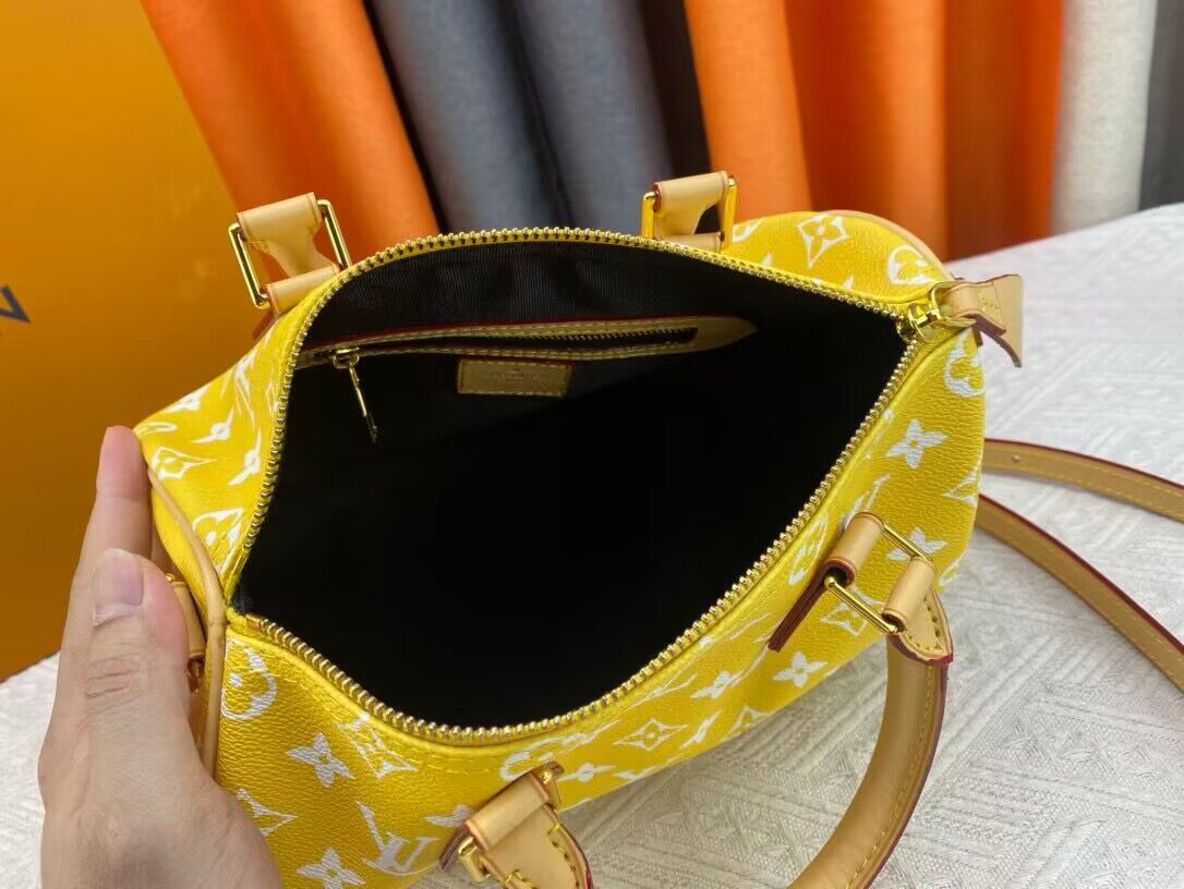 Louis Vuitton LV2024 Speedy 25 M24424 Yellow